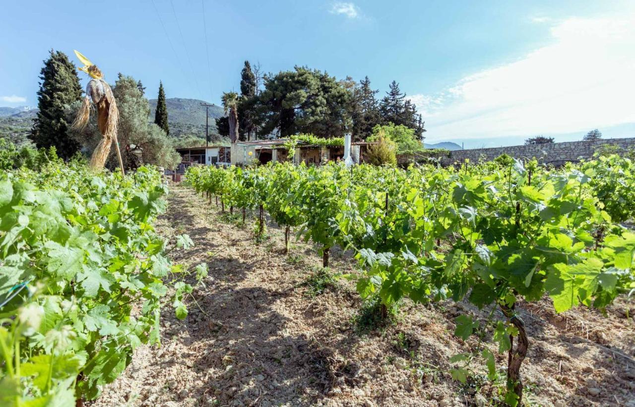 Nassibe Estate Villa Agios Ioannis  Exteriör bild