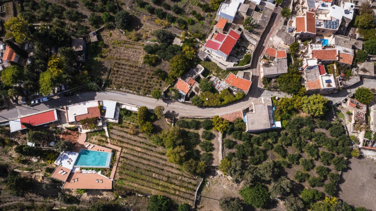 Nassibe Estate Villa Agios Ioannis  Exteriör bild